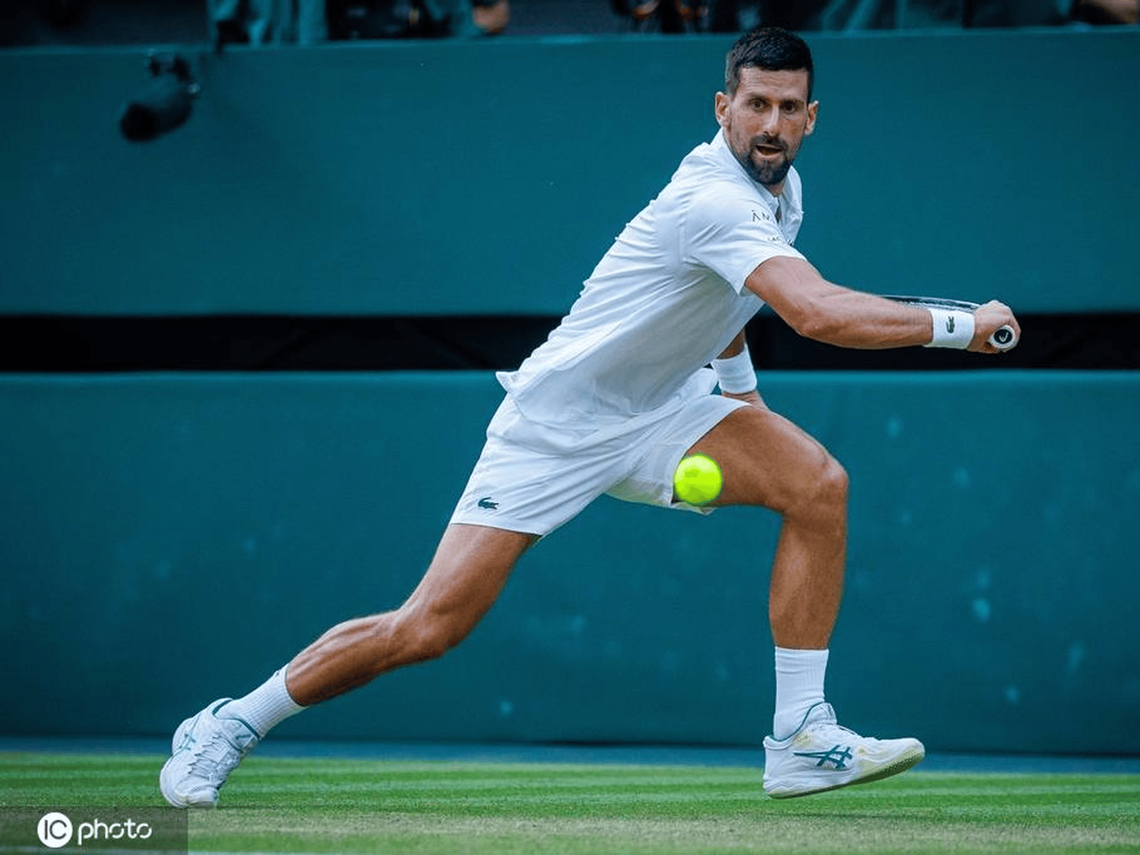 ATP总决赛逆转联合杯，德约科维奇刷新纪录