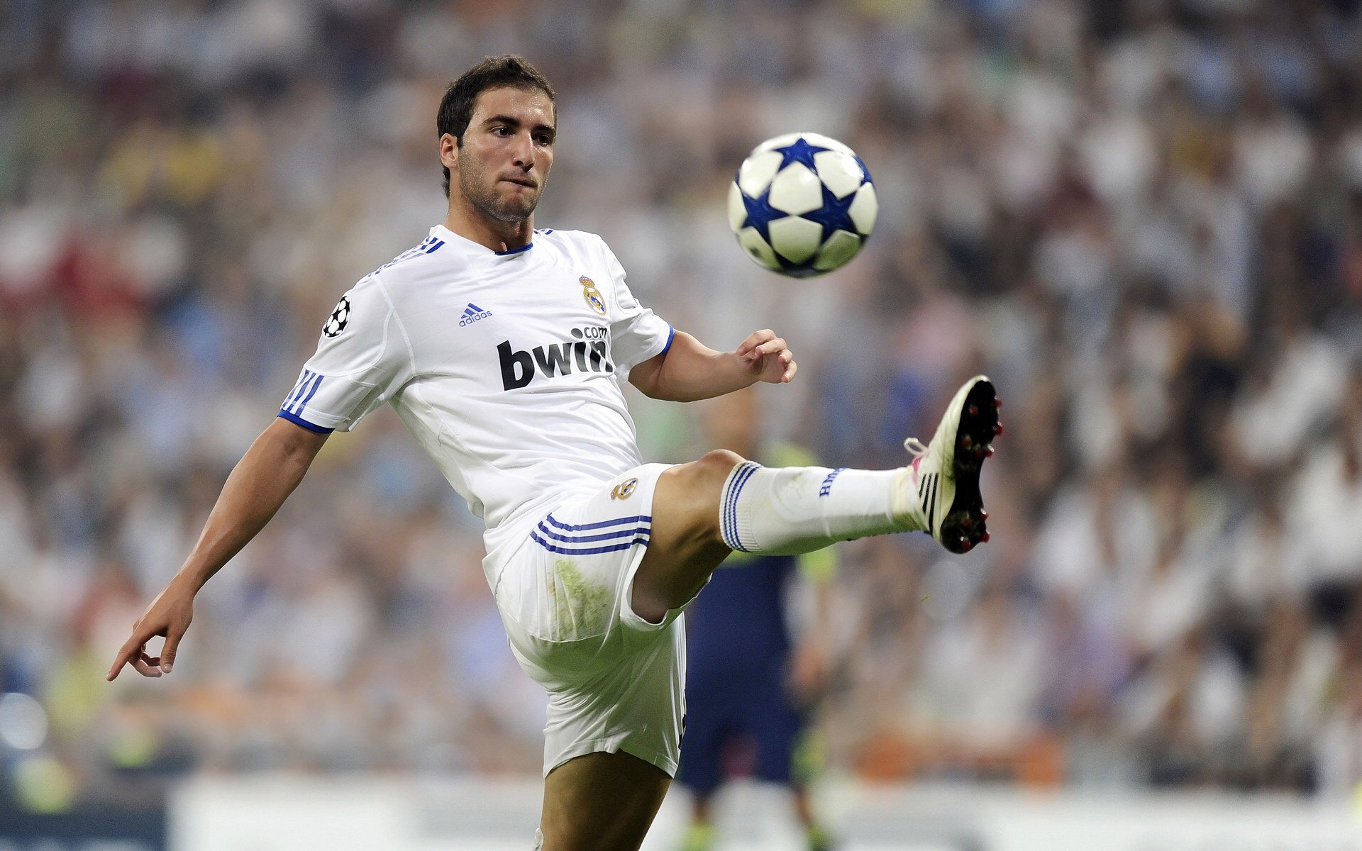 猛龙狂胜新疆队，福克斯成为关键先生